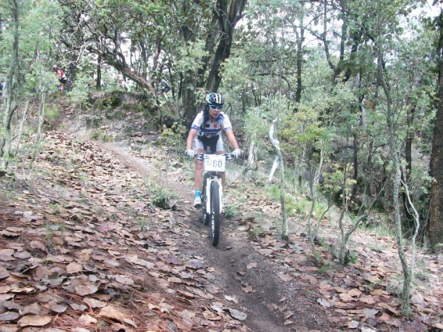 Rutas ciclistas